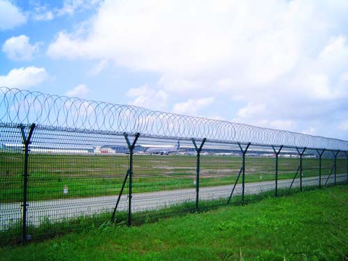 �C���o�ھW