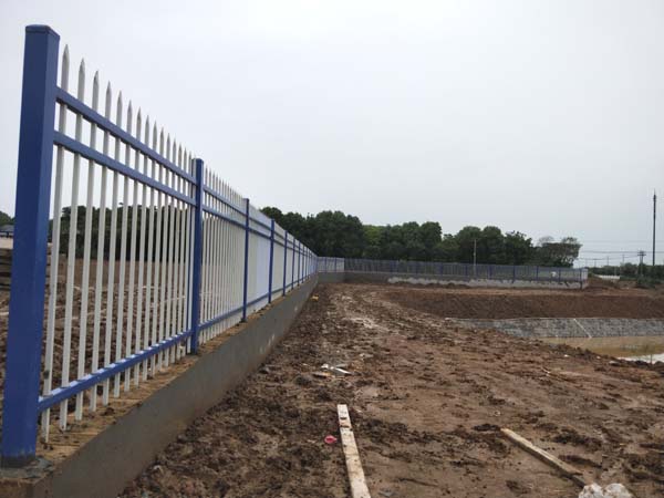 IMG20190629170340.jpg IMG20190629170340.jpg