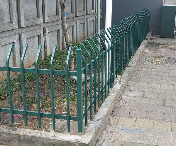 ��ƺ�\��o��